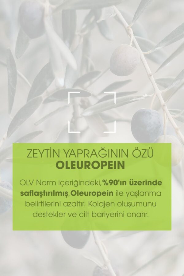 OLV Norm Yaşlanma Ve Kırışıklık Karşıtı Nemlendirici Yüz Kremi 50 ml - Görsel 4