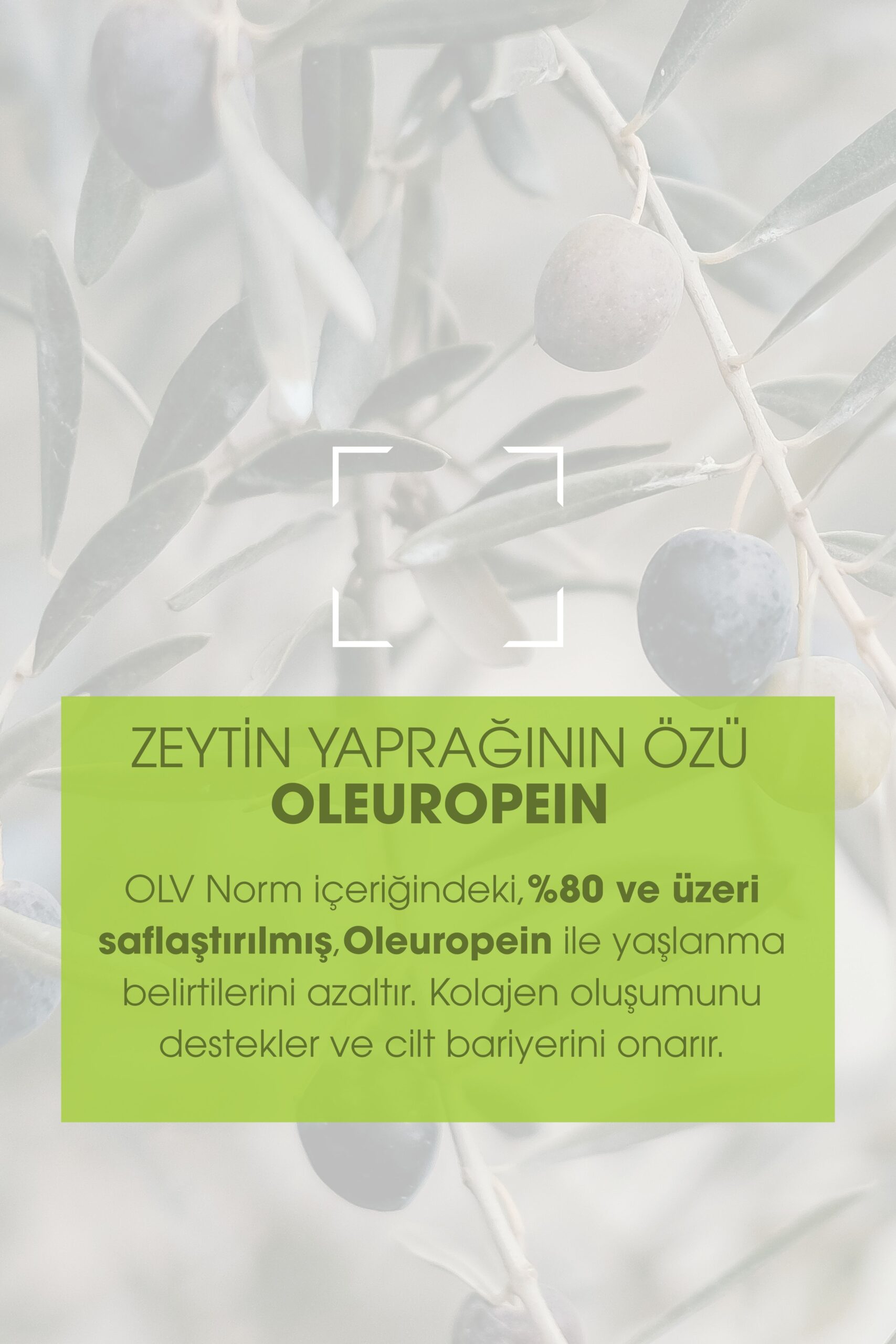 OLV Norm Yaşlanma Karşıtı Ve Onarıcı Cilt Bakım Serumu - Görsel 4