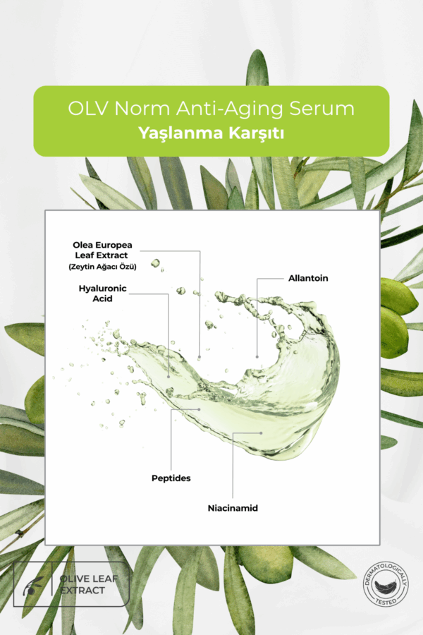 OLV Norm Yüz Bakım Seti – Yüz Kremi + Cilt Serumu + Misel Su (3’lü Avantaj Paketi) - Görsel 6